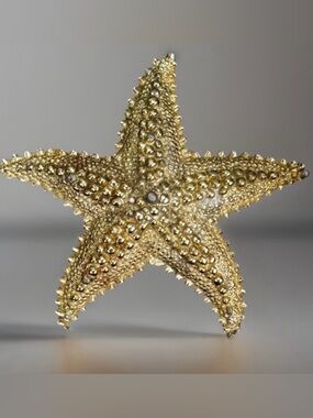 Vintage aged, goldtone raised Starfish Brooch Pin